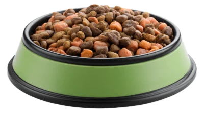 Dry Pet Food Bowl