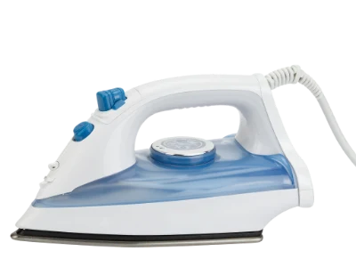 Electric Steam Iron