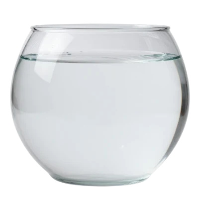 Empty Glass Fish Bowl