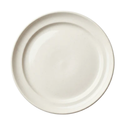 Empty White Ceramic Plate