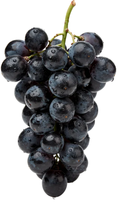 Fresh Black Grapes