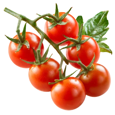 Fresh Cherry Tomato Cluster