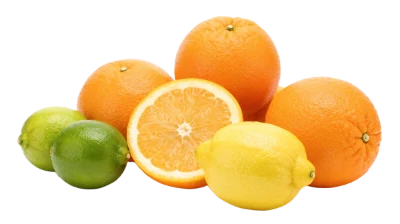 Fresh Citrus Fruit Assortment