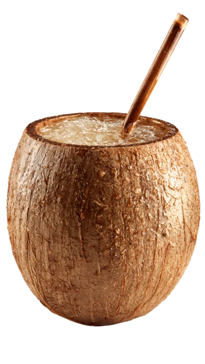 Fresh Coconut Water Drink
