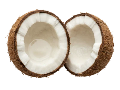Fresh Cracked Coconut Halves