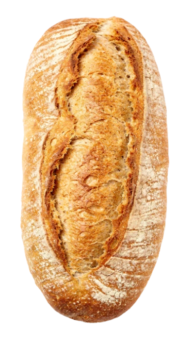 Fresh Crusty Sourdough Bread
