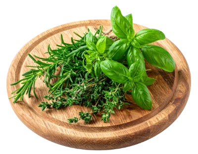 Fresh Culinary Herbs