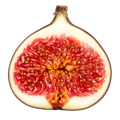 Fresh Cut Fig