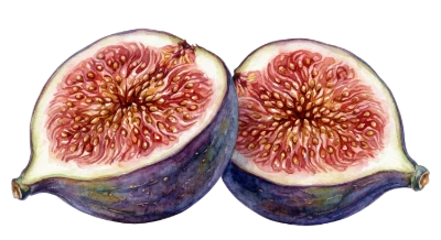 Fresh Cut Figs