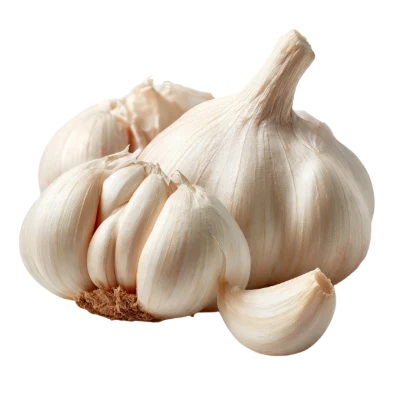 Fresh Garlic Bulbs
