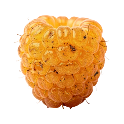 Fresh Golden Raspberry