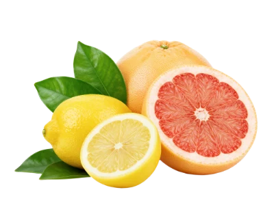 Fresh Grapefruit And Lemon