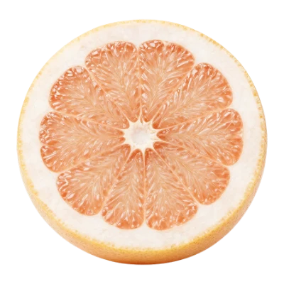 Fresh Grapefruit Slice
