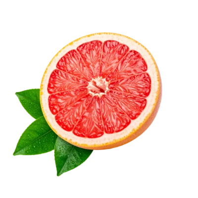 Fresh Grapefruit Slice