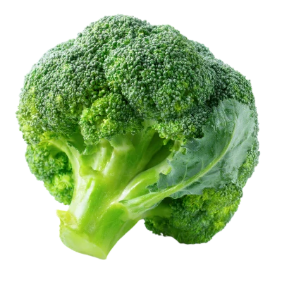 Fresh Green Broccoli