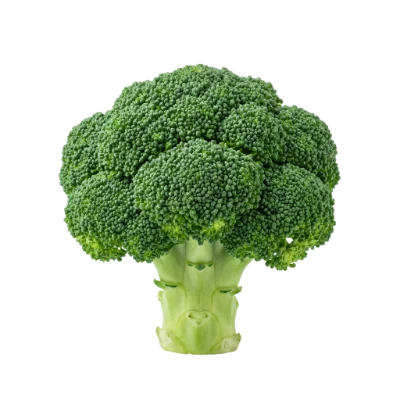 Fresh Green Broccoli