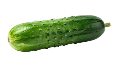 Fresh Green Cucumber