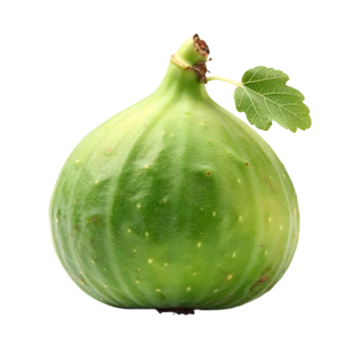 Fresh Green Fig