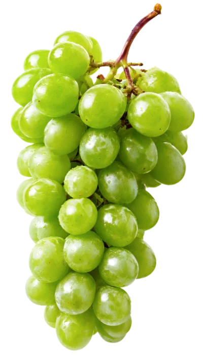 Fresh Green Grapes