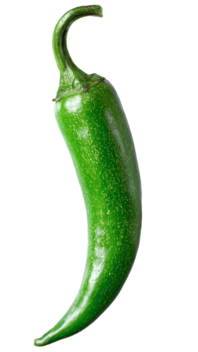 Fresh Green Jalapeno Pepper