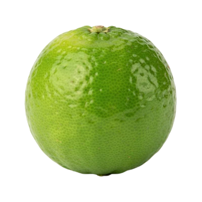 Fresh Green Lime