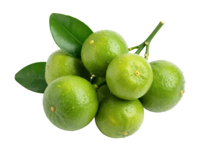 Fresh Green Limes