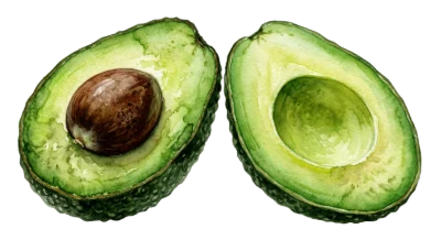 Fresh Halved Avocado