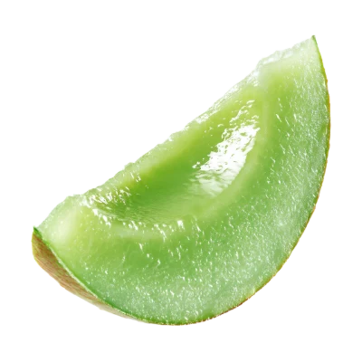 Fresh Honeydew Melon Slice