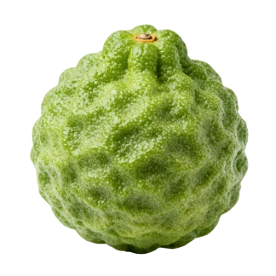 Fresh Kaffir Lime