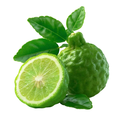 Fresh Kaffir Lime Fruit