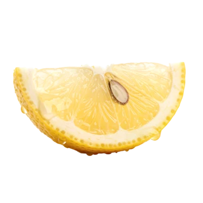 Fresh Lemon Slice