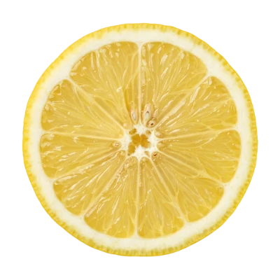 Fresh Lemon Slice