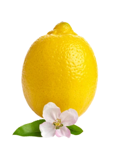 Fresh Lemon With Blossom