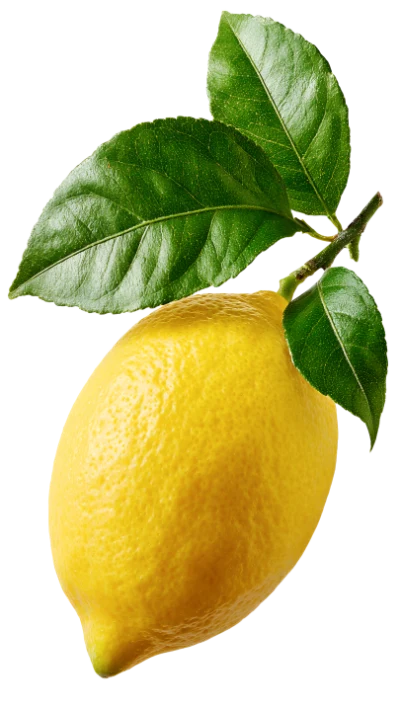 Fresh Lemon With Leaves