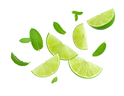 Fresh Lime Slices Mint