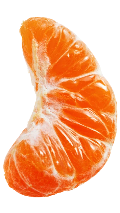 Fresh Mandarin Orange Segment
