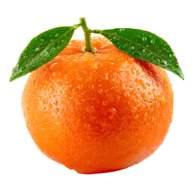 Fresh Mandarin With Leaves