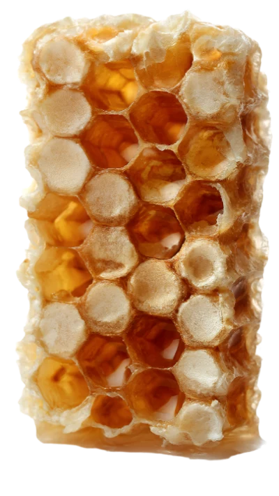 Fresh Natural Honeycomb