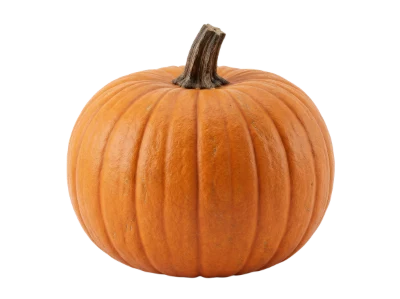 Fresh Orange Pumpkin