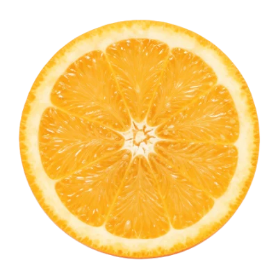 Fresh Orange Slice