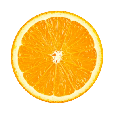 Fresh Orange Slice