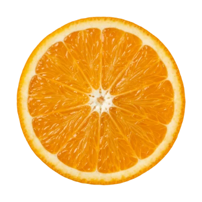 Fresh Orange Slice