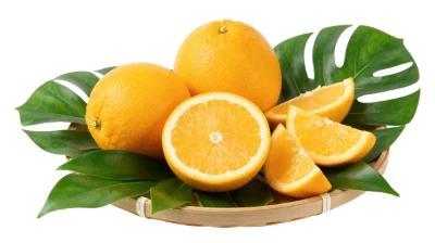 Fresh Oranges On Leaves