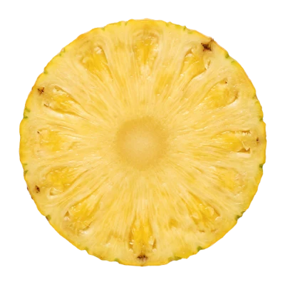 Fresh Pineapple Slice