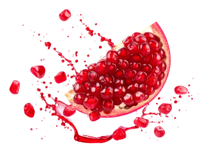 Fresh Pomegranate Fruit Slice
