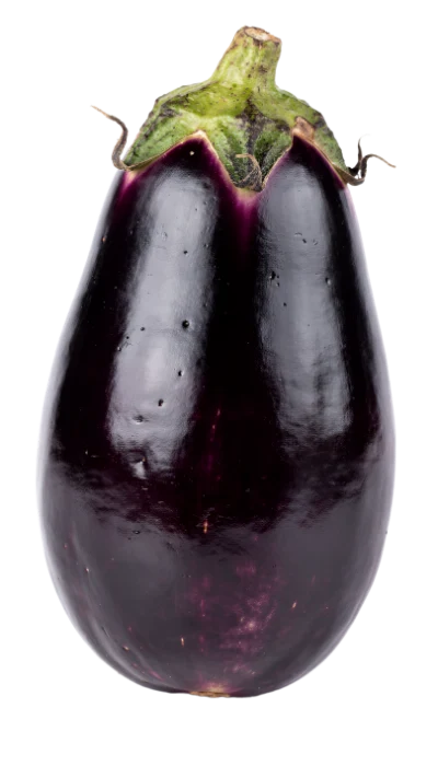 Fresh Purple Eggplant