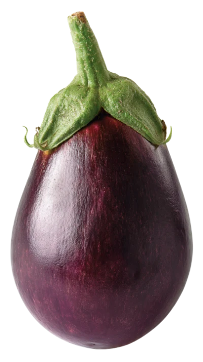 Fresh Purple Eggplant