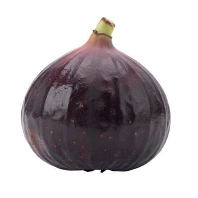 Fresh Purple Fig
