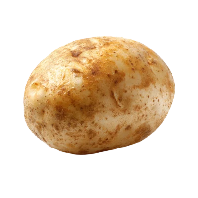 Fresh Raw Potato