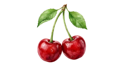 Fresh Red Cherries